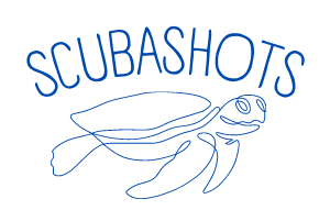 Underwater scuba diver